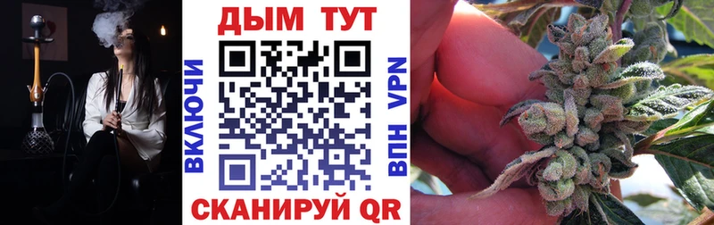 Продажа наркотиков Куртамыш Каннабис  Кокаин  ГАШИШ  Codein  Меф 