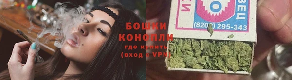 шишки Нязепетровск