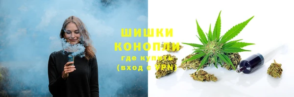 шишки Нязепетровск