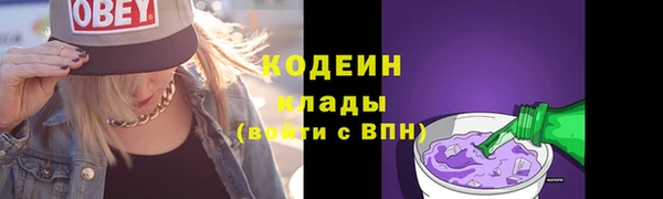 шишки Нязепетровск
