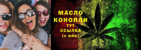 шишки Нязепетровск