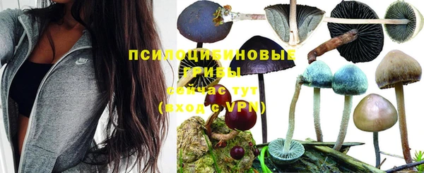 шишки Нязепетровск