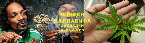 шишки Нязепетровск