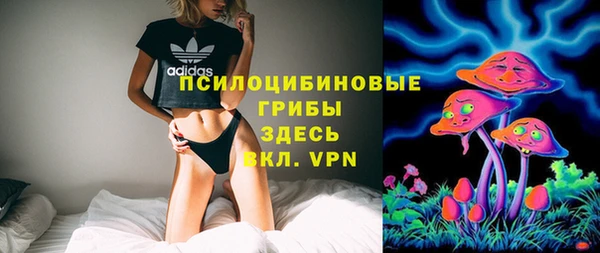 шишки Нязепетровск