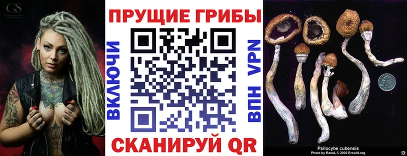 МЕГА   Куртамыш  Псилоцибиновые грибы Cubensis 